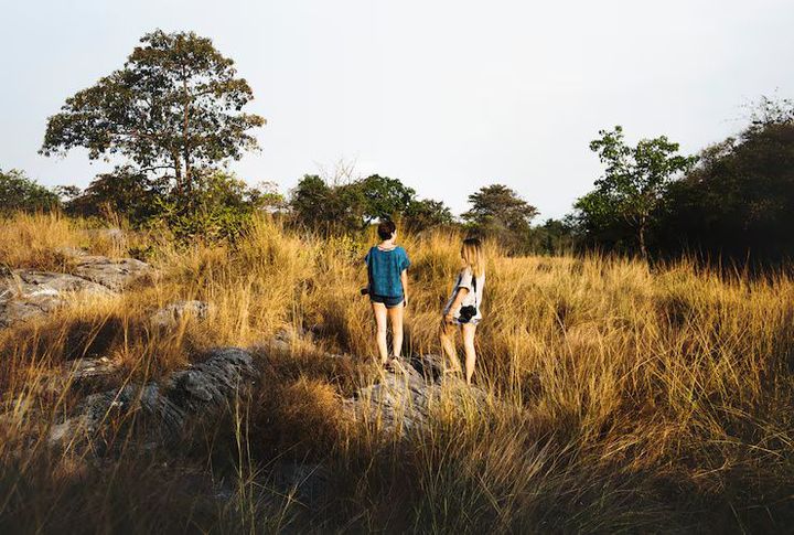 Wildlife Conservation Travel Ideas: A Complete Guide to Responsible Nature Tourism